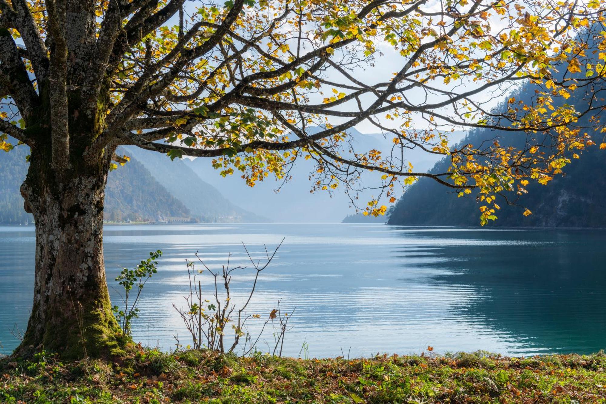 Posthotel Achenkirch Resort And Spa - Adults Only Esterno foto